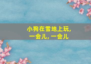 小狗在雪地上玩,一会儿, 一会儿